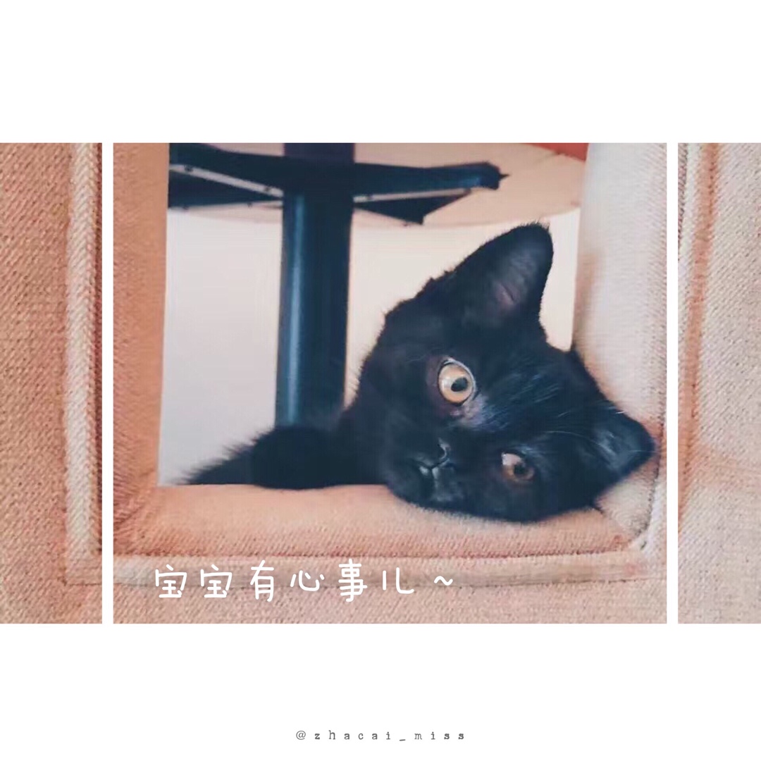 【原·素】