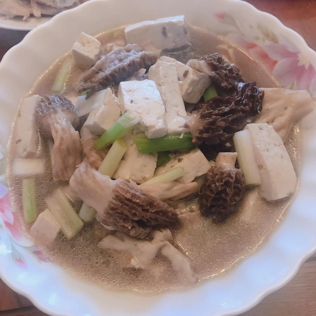 新鲜羊肚菌烧豆腐