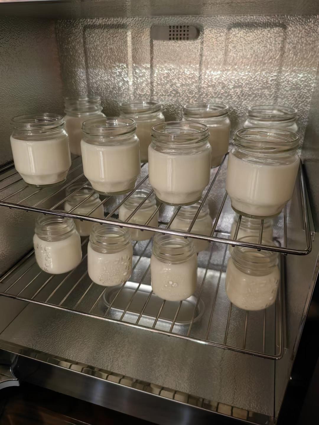 酸奶（发酵箱版）