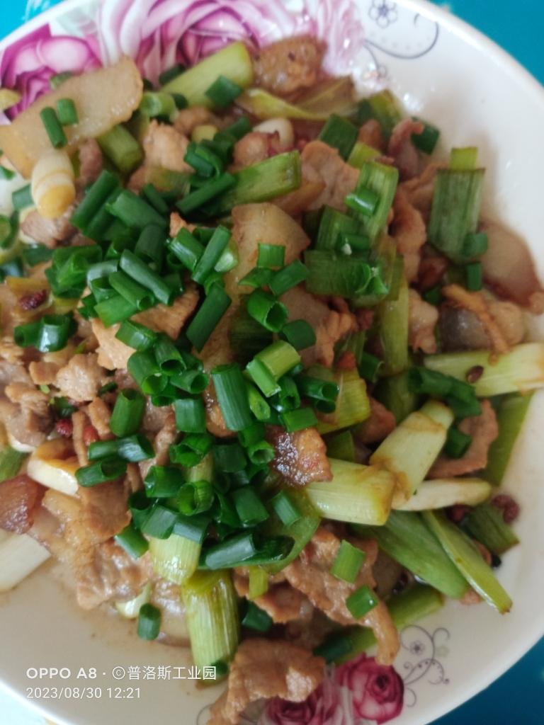 午餐•2023年8月30日