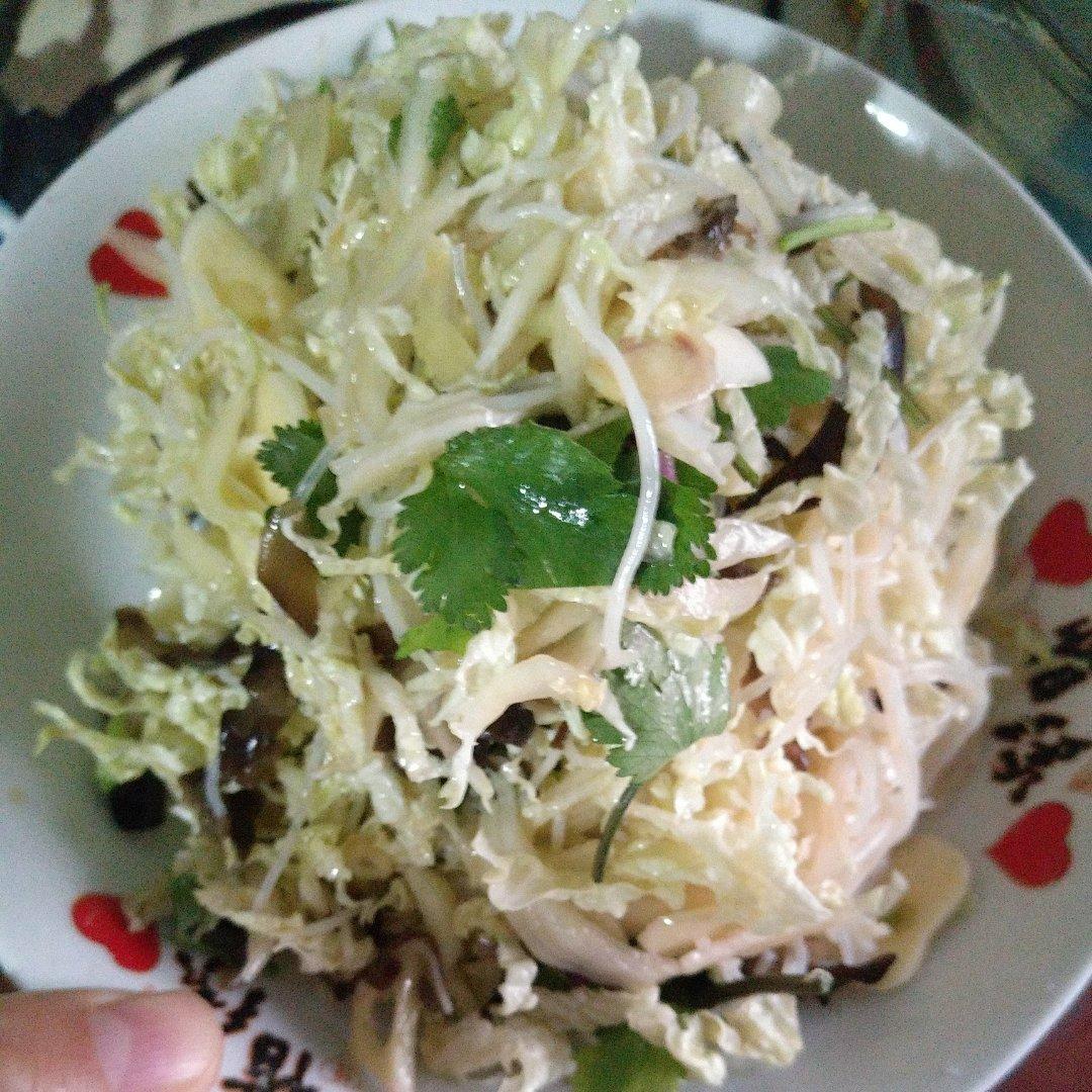 清爽美味开胃凉菜|酸酸甜甜白菜丝拌粉丝