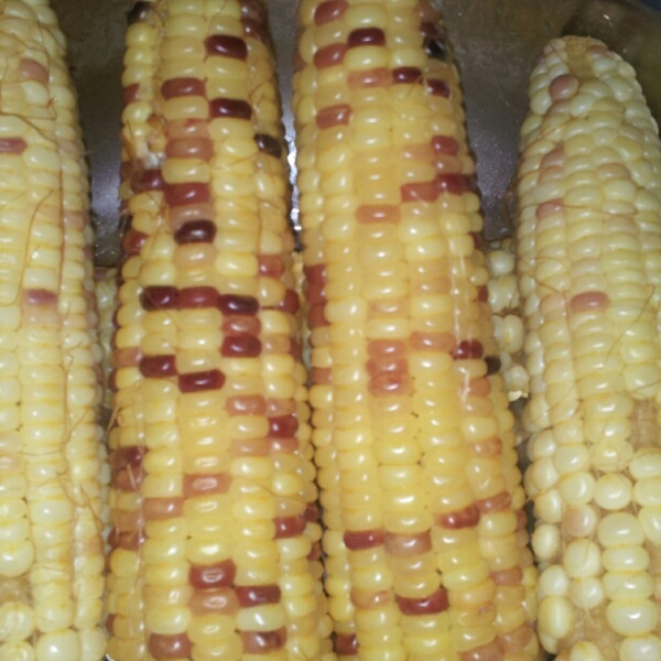 煮玉米