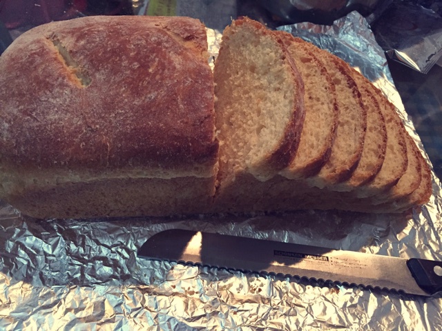 全麦面包（面包机版）