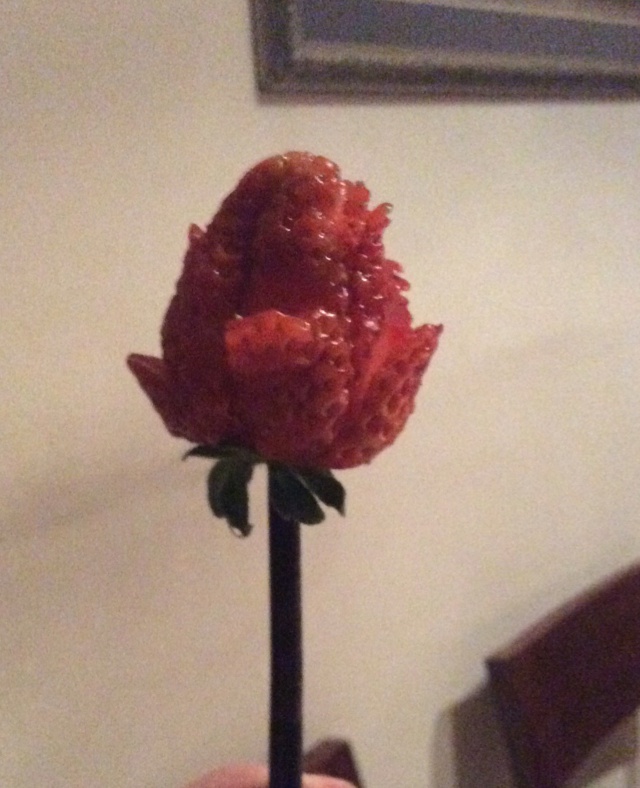 草莓玫瑰花