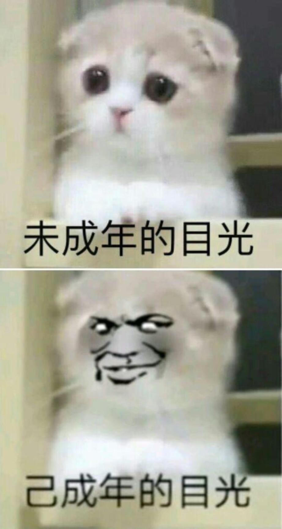 小邹要做饭