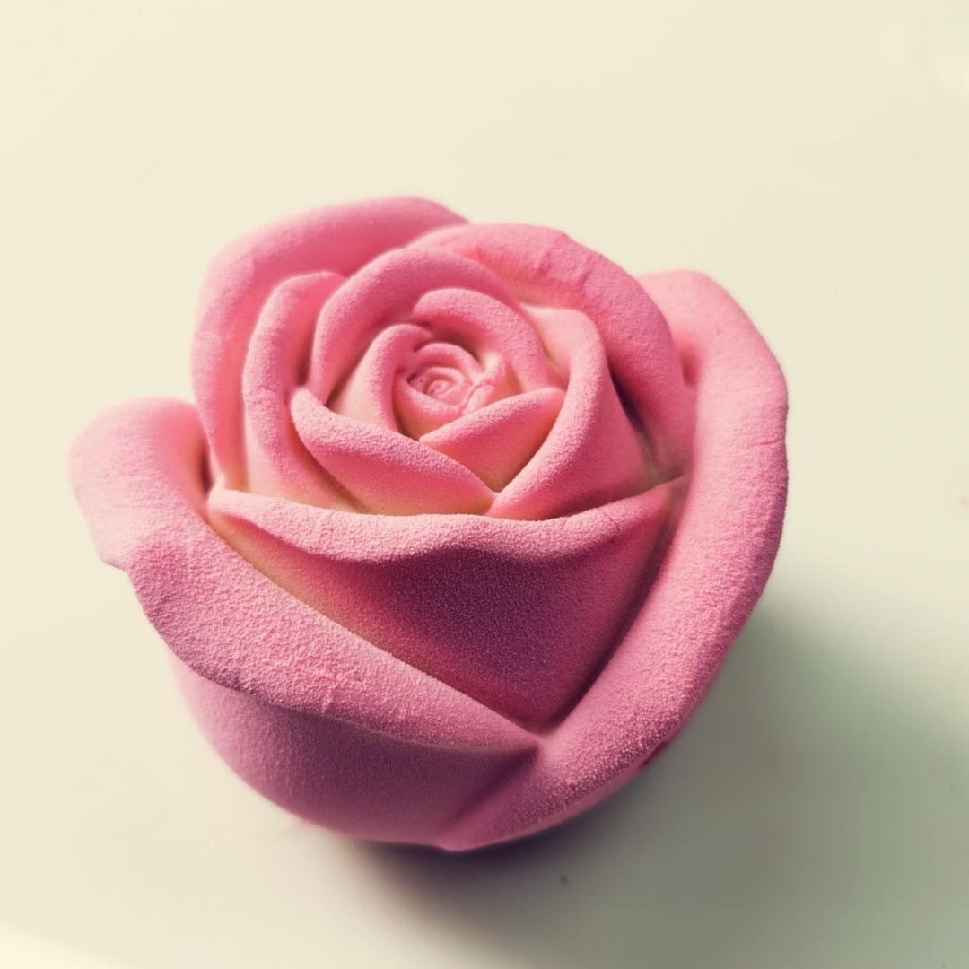 烘焙小达人可可