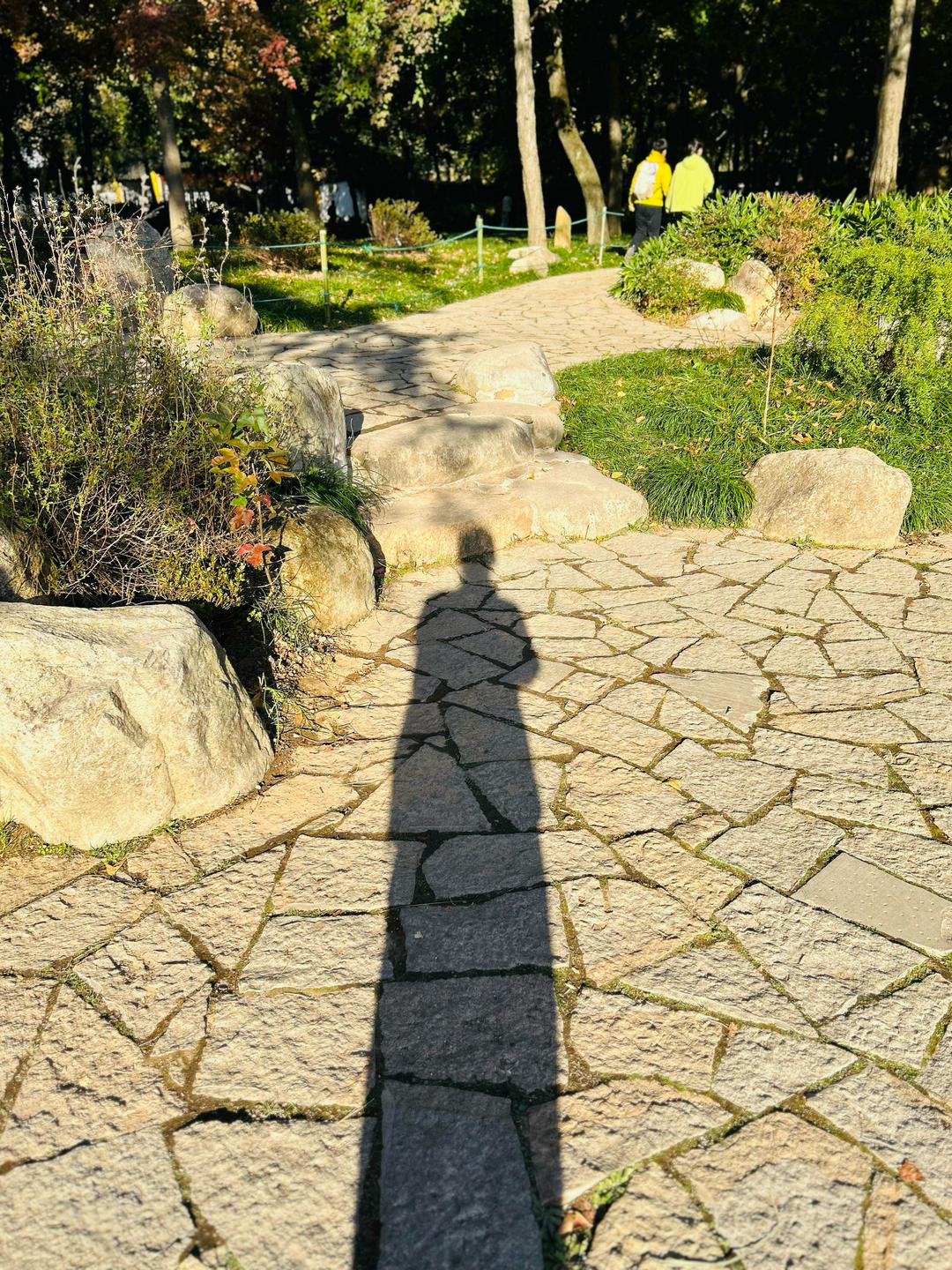 人在旅途