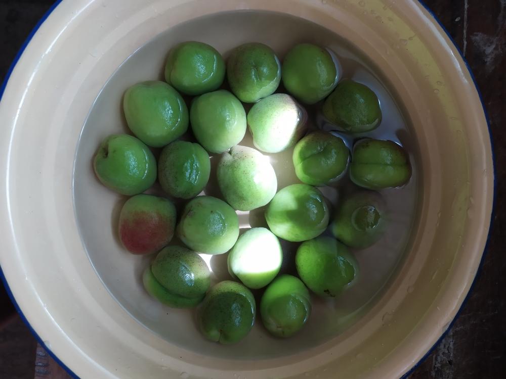 糖渍青杏,糖腌青杏的做法 步骤5