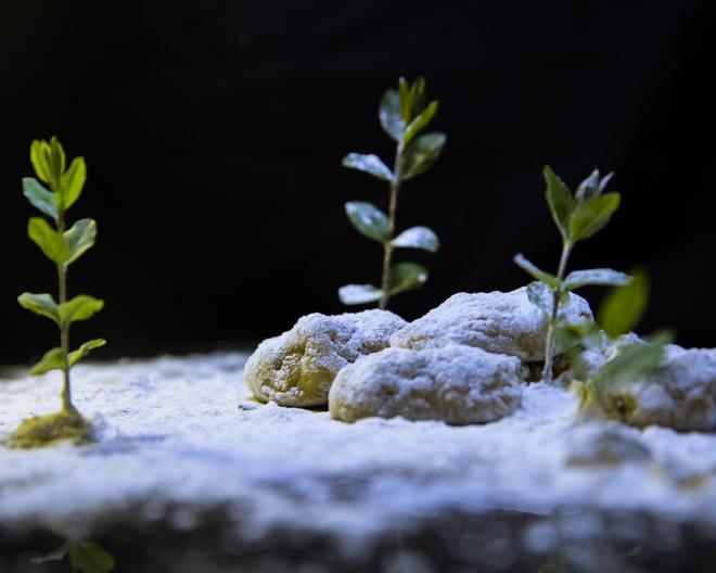 飞雪连天陈皮糕的做法