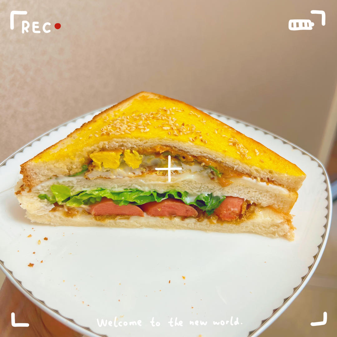 全麦三明治（烤箱版）