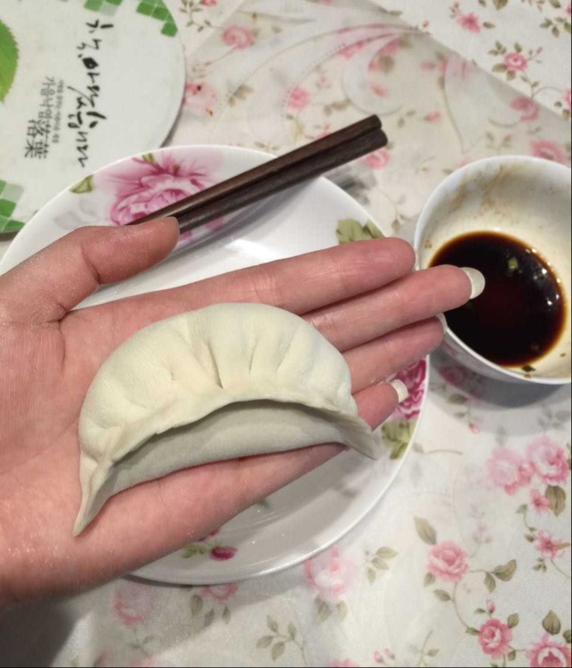 韭菜猪肉饺子(最简单最好吃又最多汁的饺子)