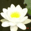 眠れる森-1
