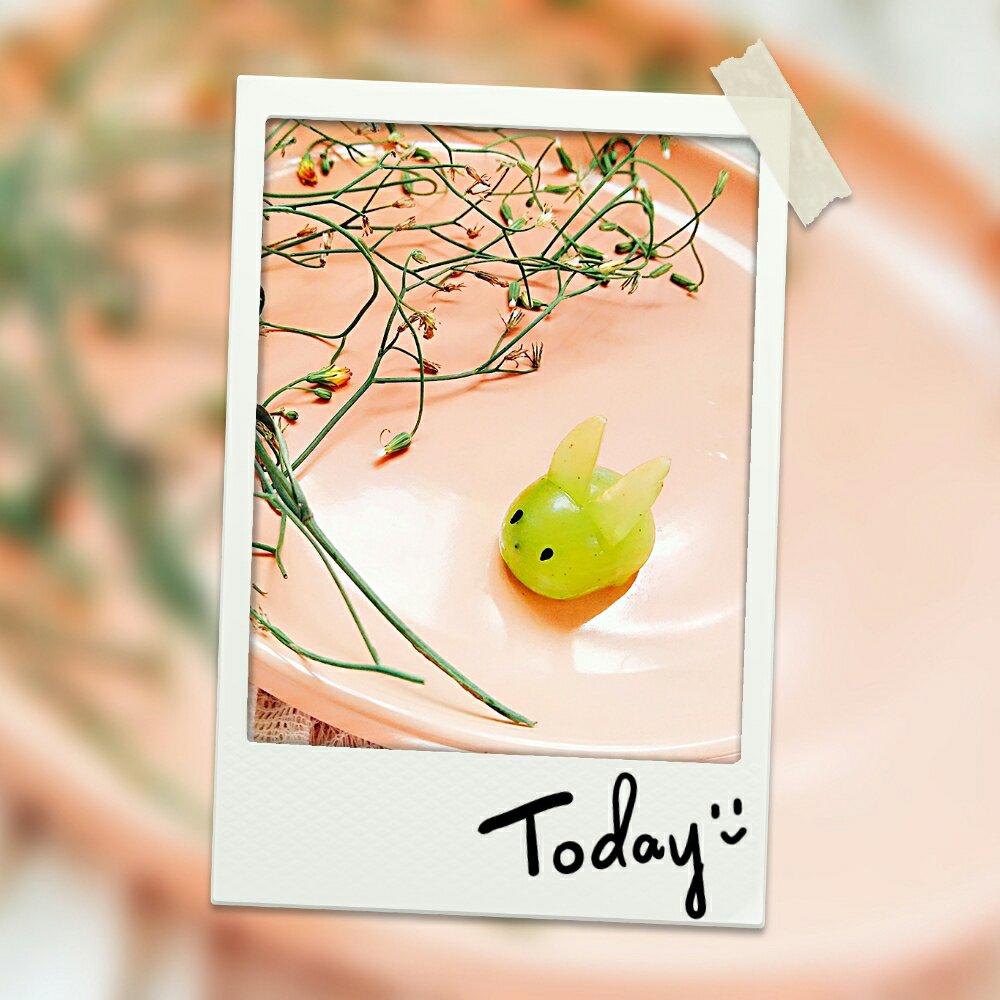 趣味水蒸蛋之可耐滴大熊猫