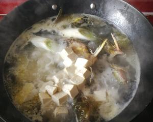 嘎鱼豆腐汤的做法 步骤5