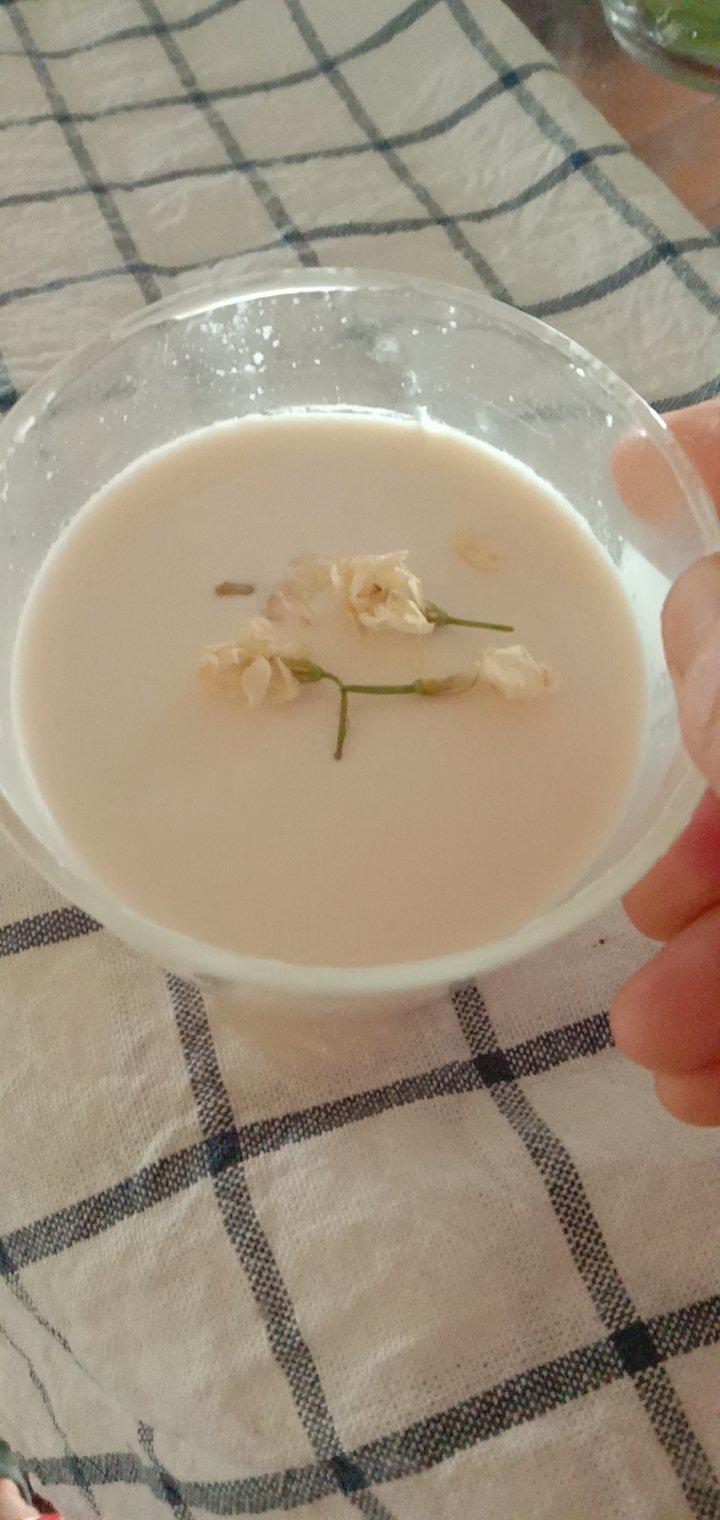 吃豆腐啦！——小嶋老师茉莉奶冻