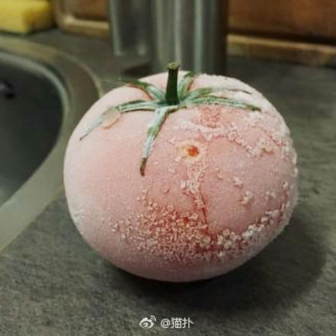 去来如风