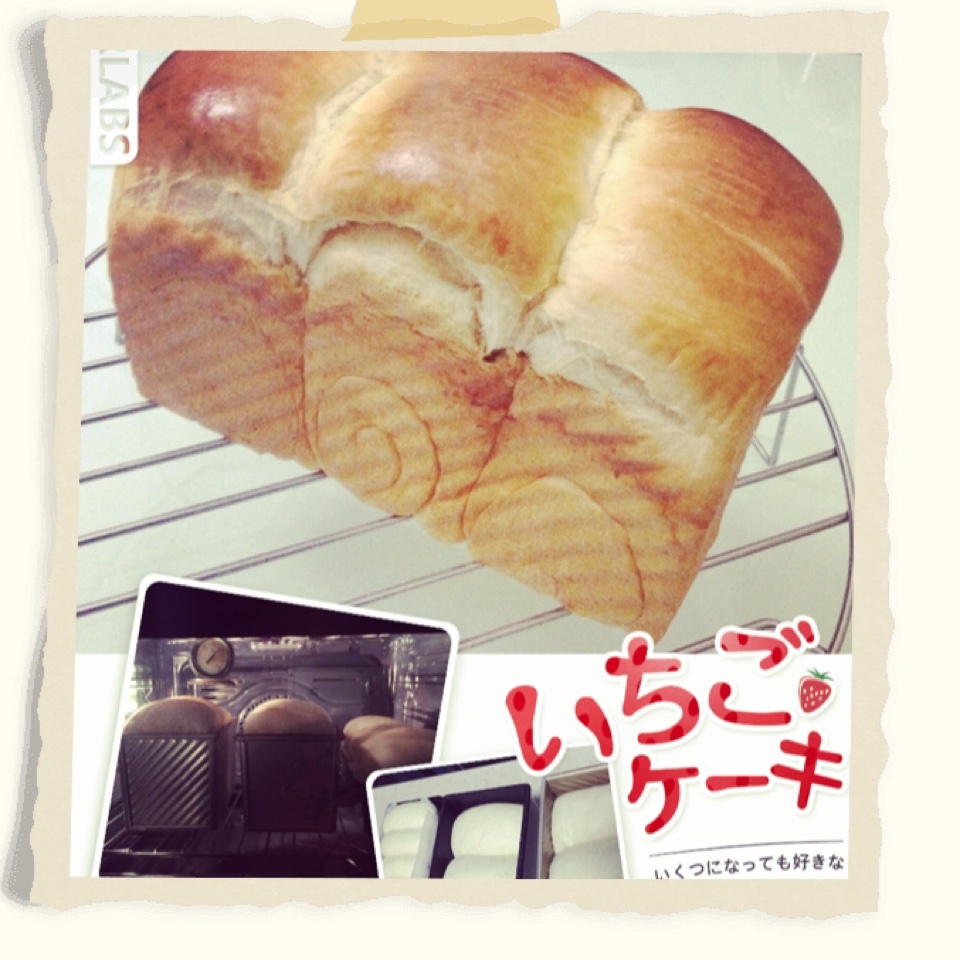 【北海道吐司】体验经典-妃娟100%中种，冷藏冰种的美味