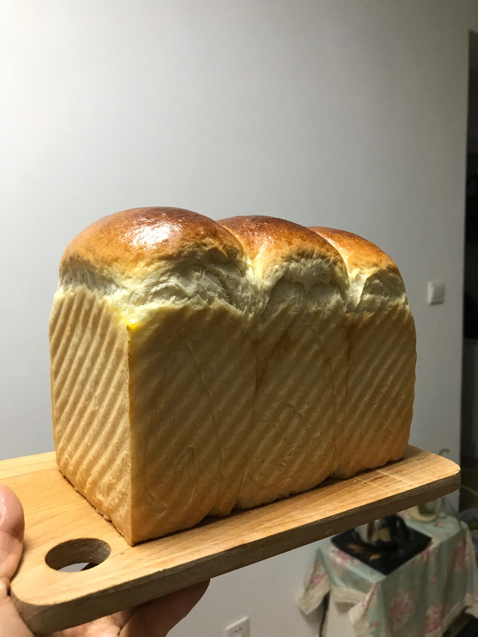 【北海道吐司】体验经典-妃娟100%中种，冷藏冰种的美味