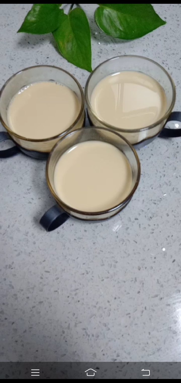 煮的奶茶(超级简单的做法)