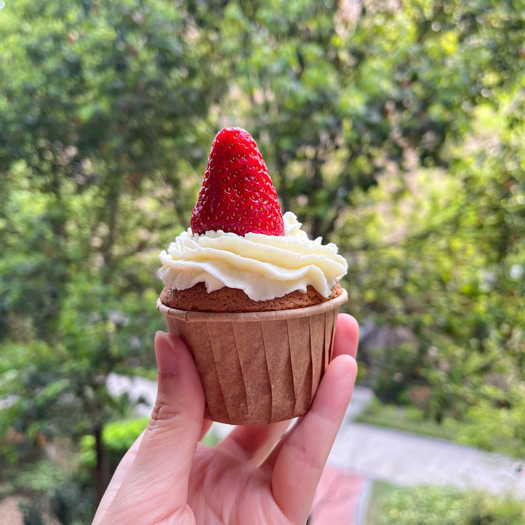 淡奶油纸杯蛋糕