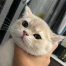 AWW