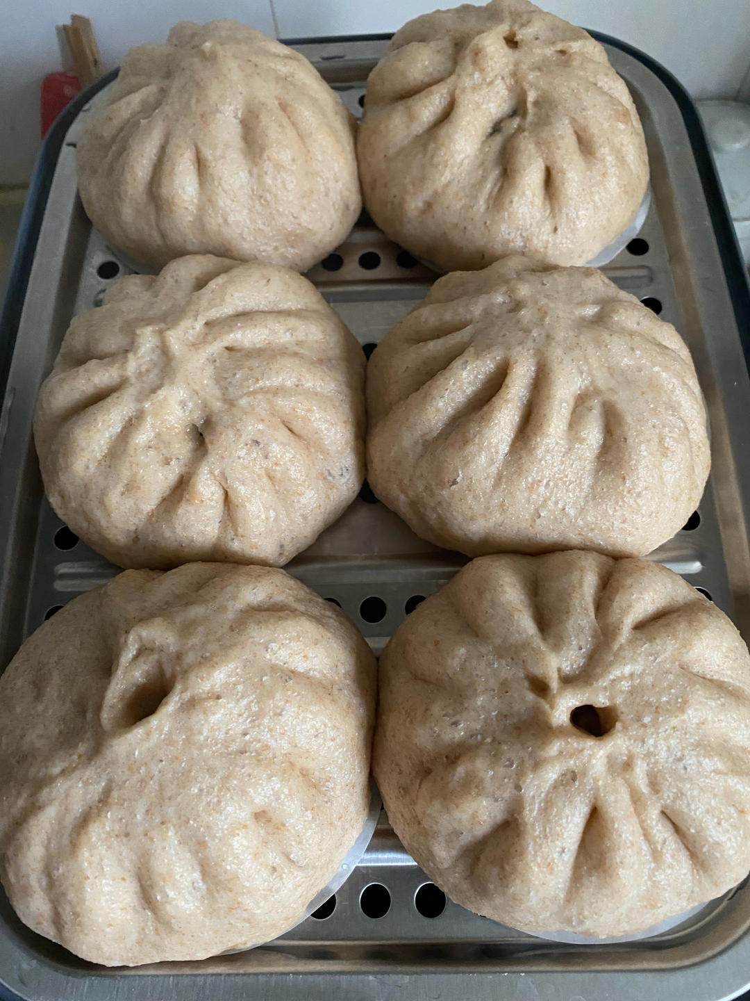 波兰种＋水合法全麦馒头（一次发酵）