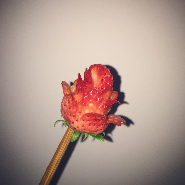 玫瑰花草莓