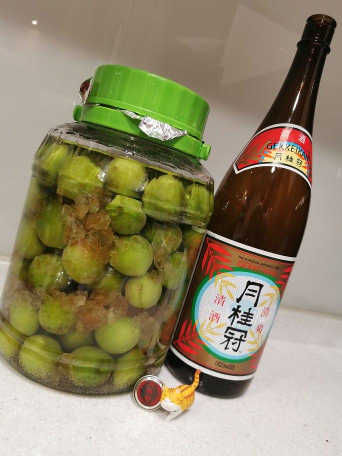 【青梅酒】梅子的沉醉时光（已填坑）