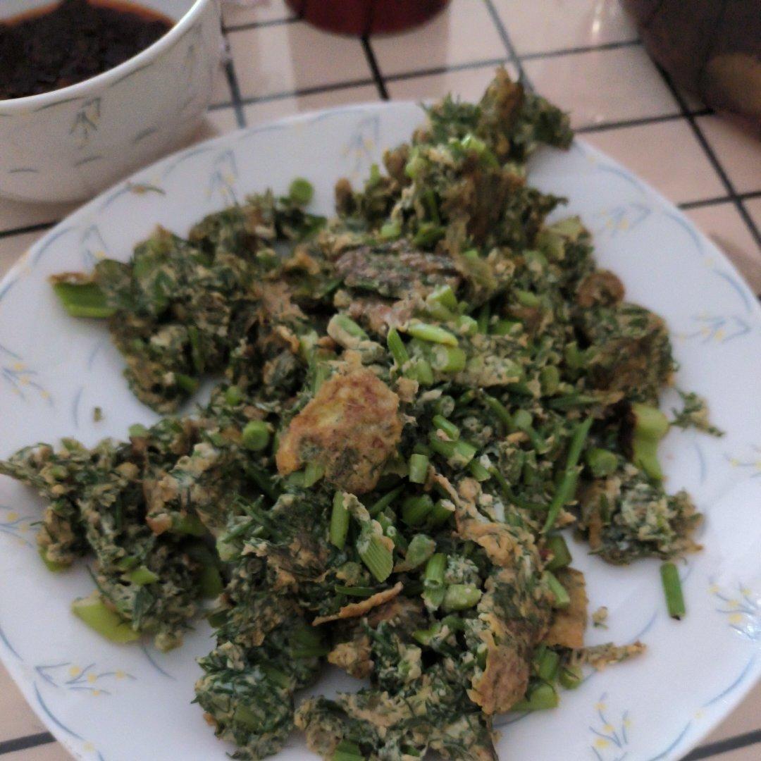 鸡蛋的各种演绎法：茴香炒鸡蛋