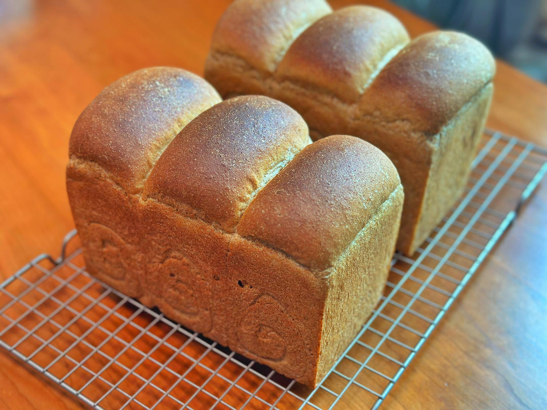 100%纯全麦吐司 汤种全麦