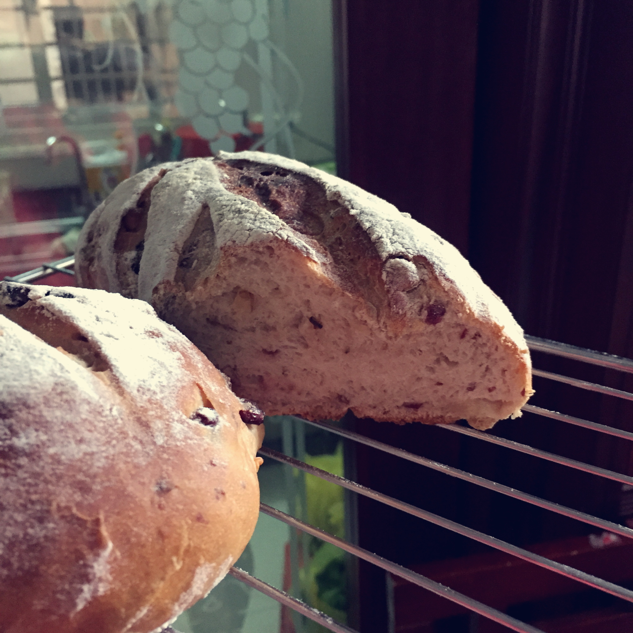 全麦核桃包～软欧包