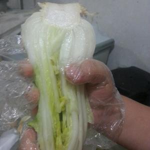 朝鲜族泡菜的做法 步骤3