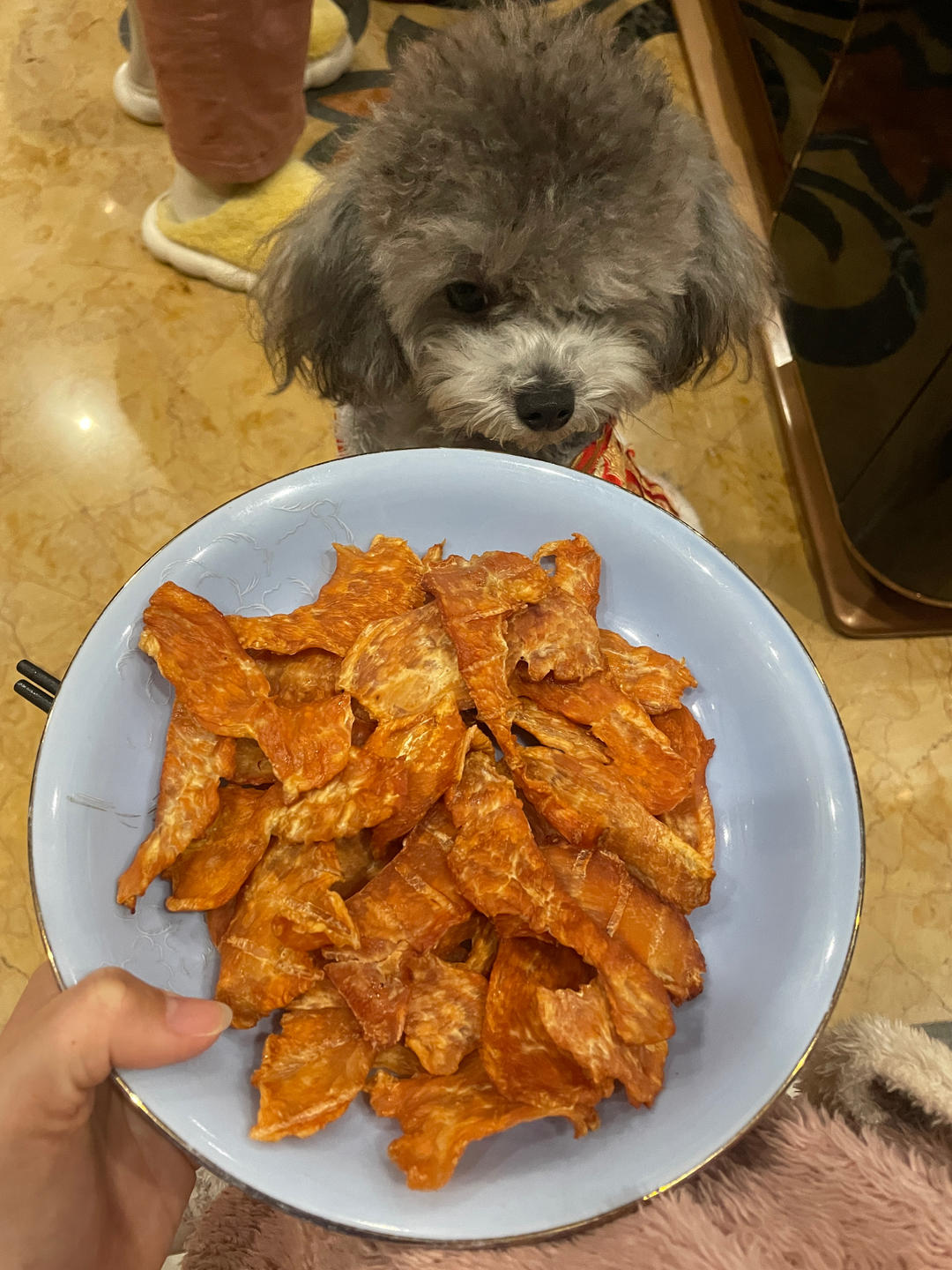 「狗零食／宠物零嘴」烤箱版风干鸡肉干