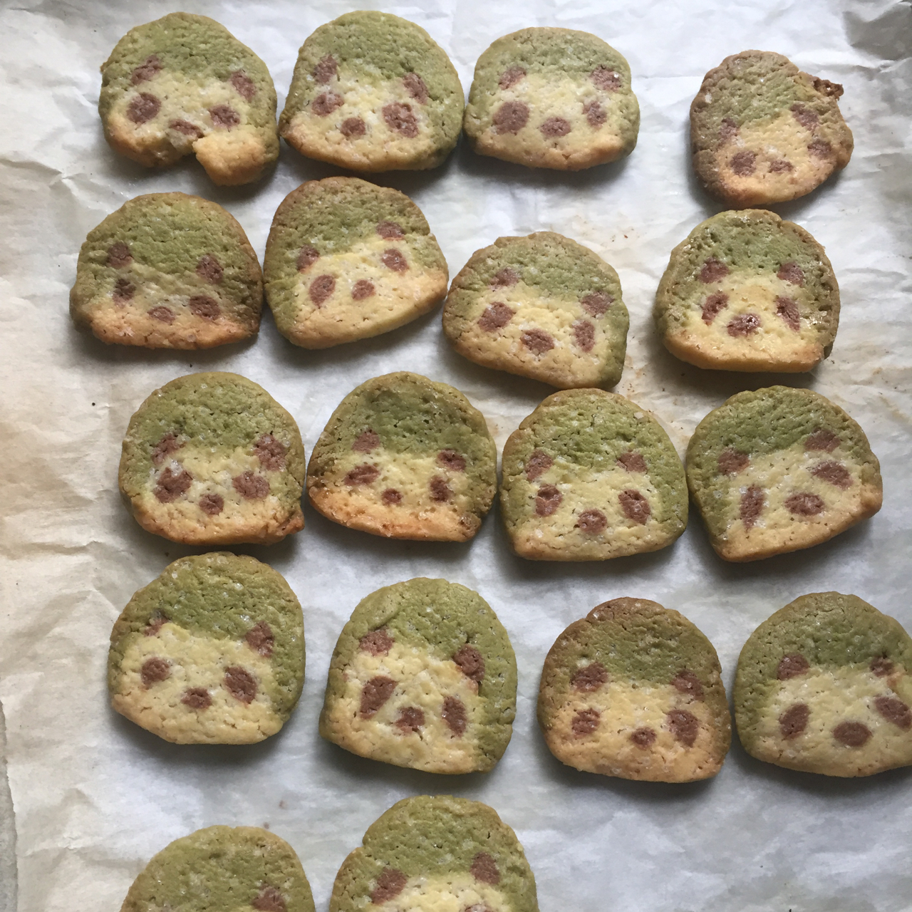 小熊饼干