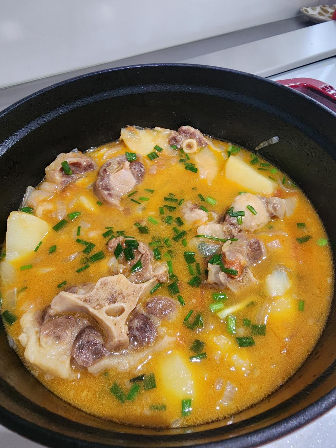 🍅番茄牛尾浓汤 不踩雷做法！