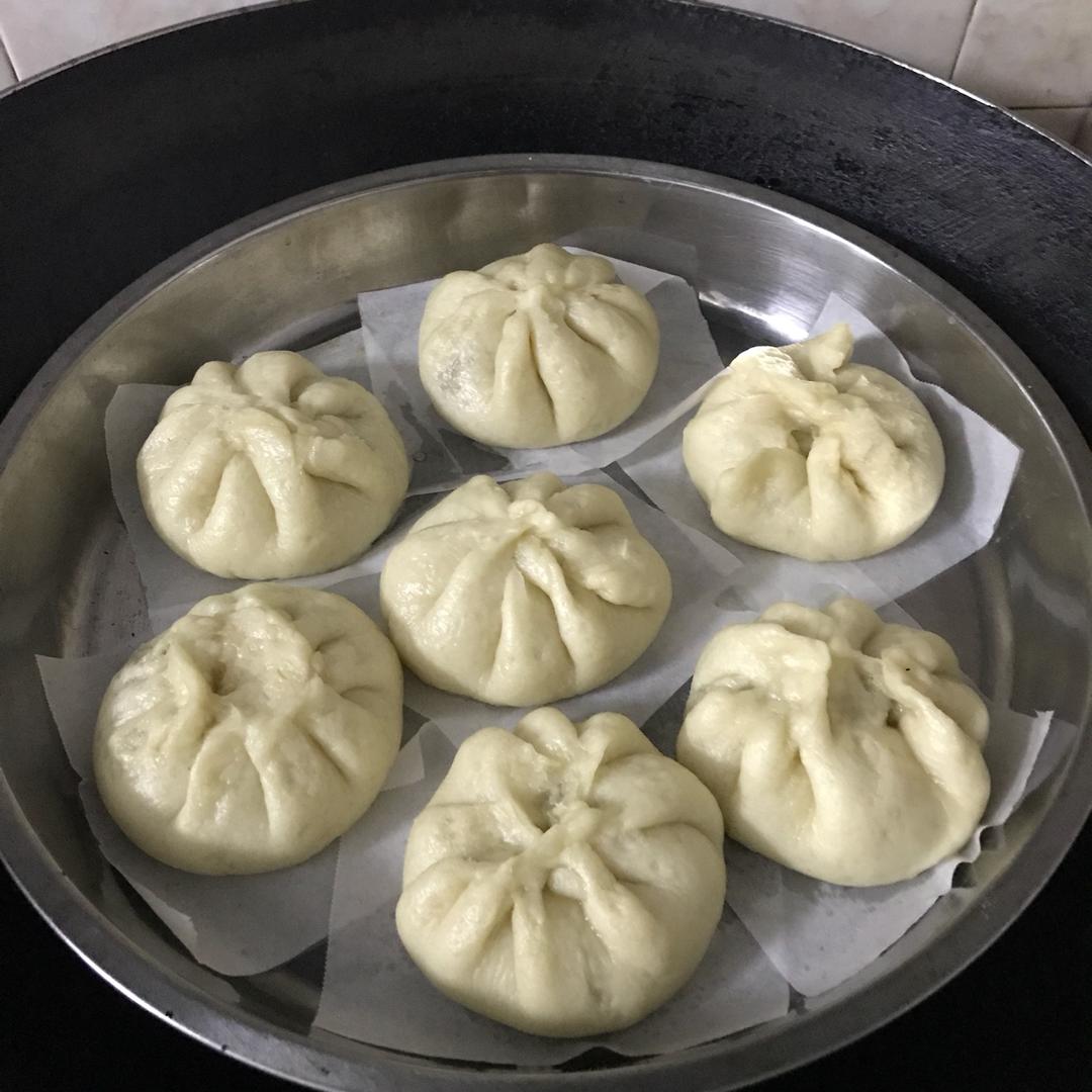 堂妈教你山菜鲜肉大包子