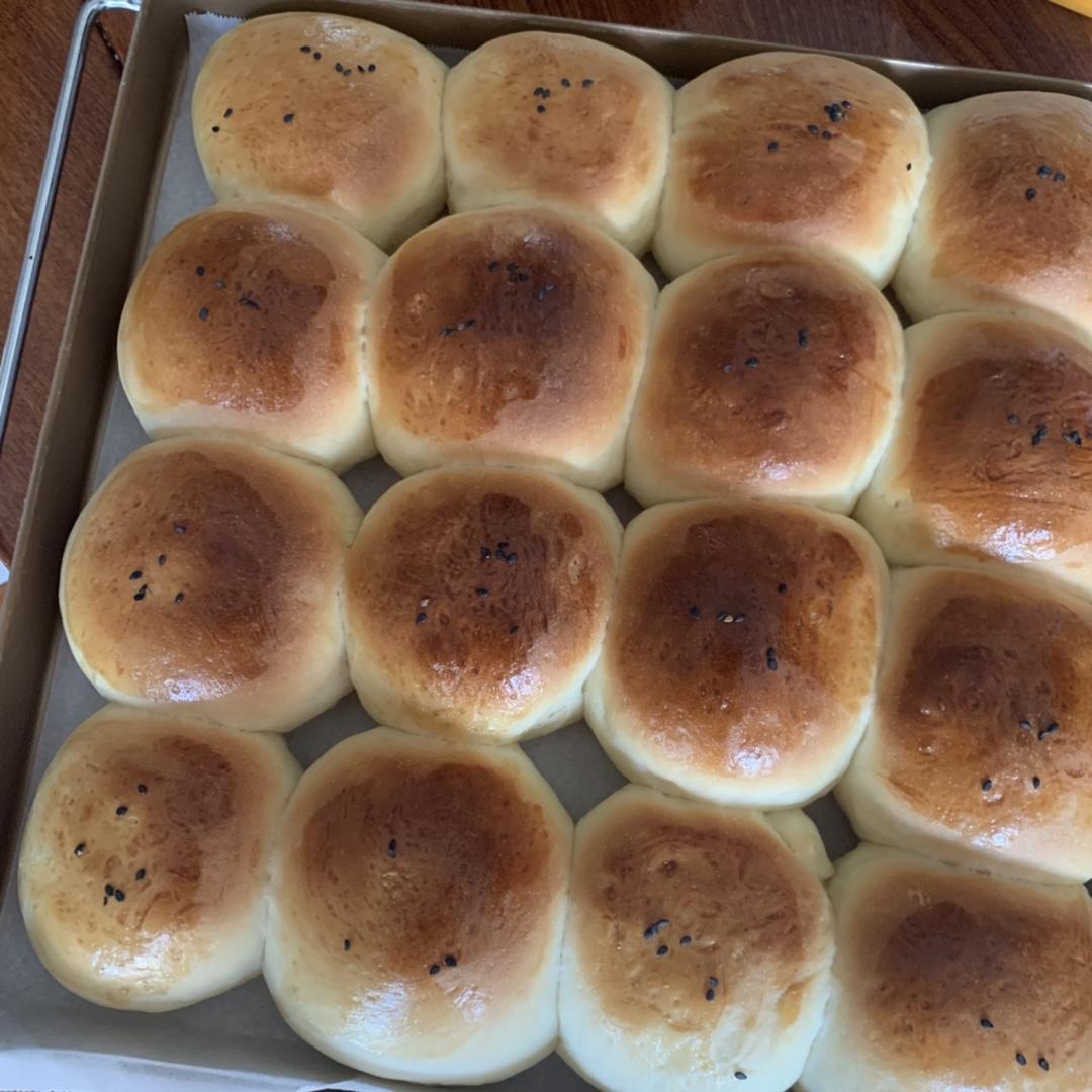 鲜奶油小餐包（一次发酵）