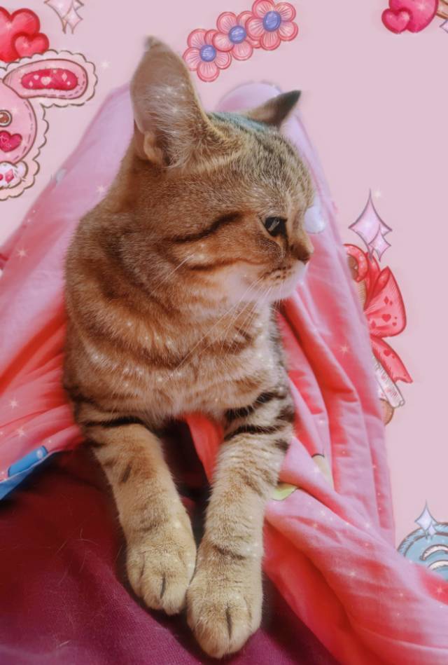 下厨房用户_yzkg