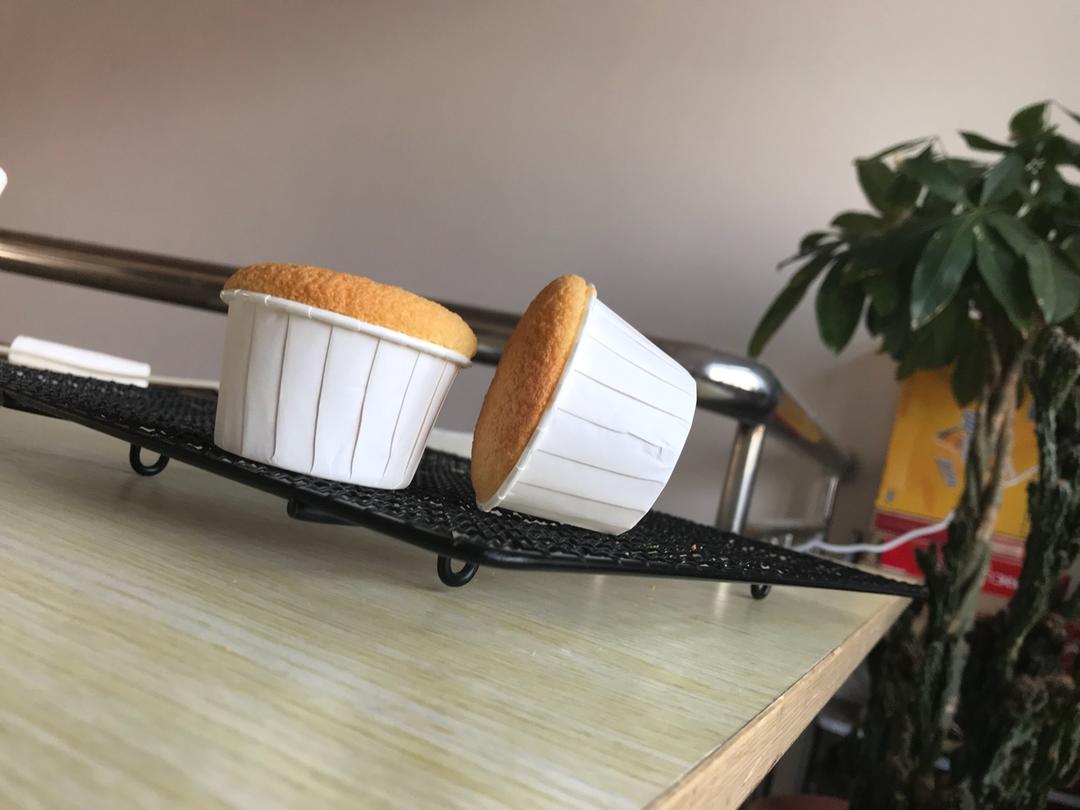 可可海绵（彩味家六联南瓜模）