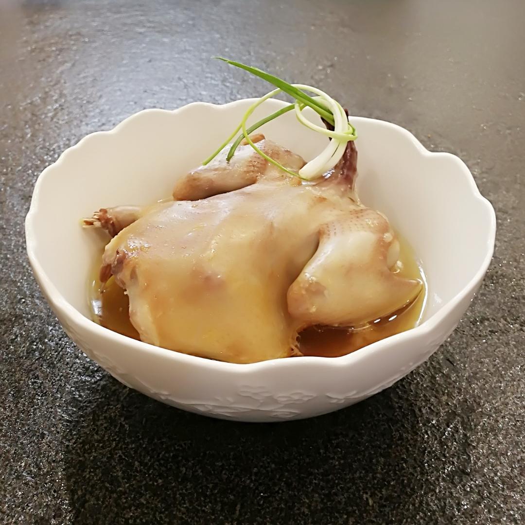 清蒸鸽子