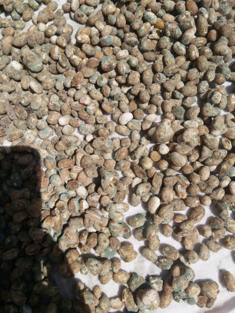 土法自制黄豆酱