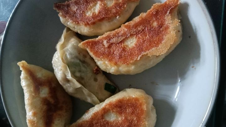 堂妈小厨——金牌韭菜肉丁水煎包