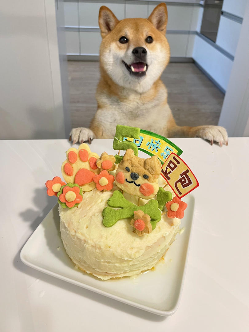 狗狗生日蛋糕（纯天然无色素无面粉）