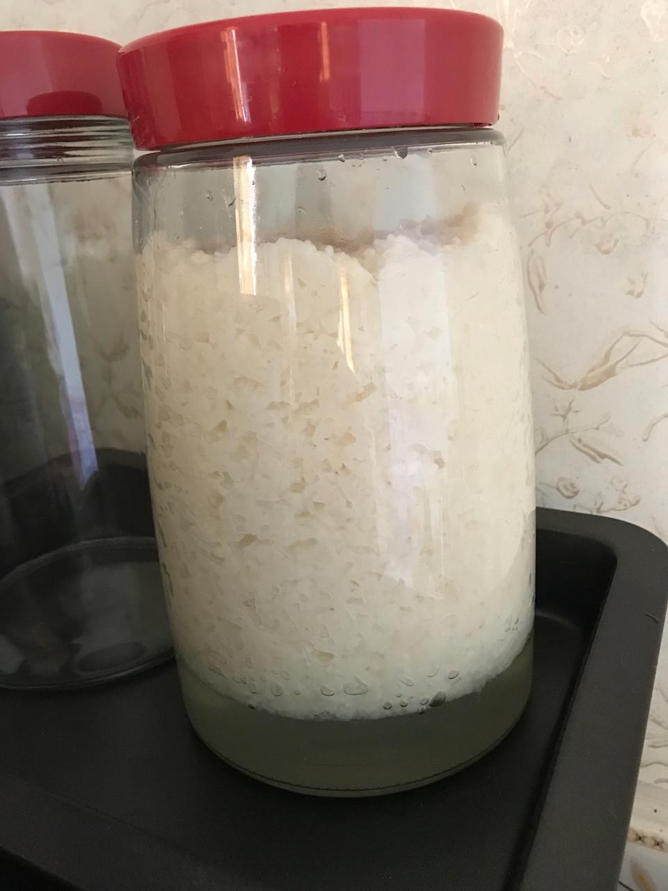 酒酿 (酒酿系列一）