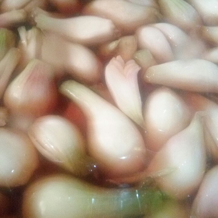 糖醋蒜