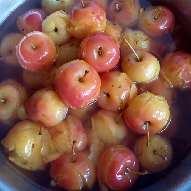 午餐•2014年8月25日