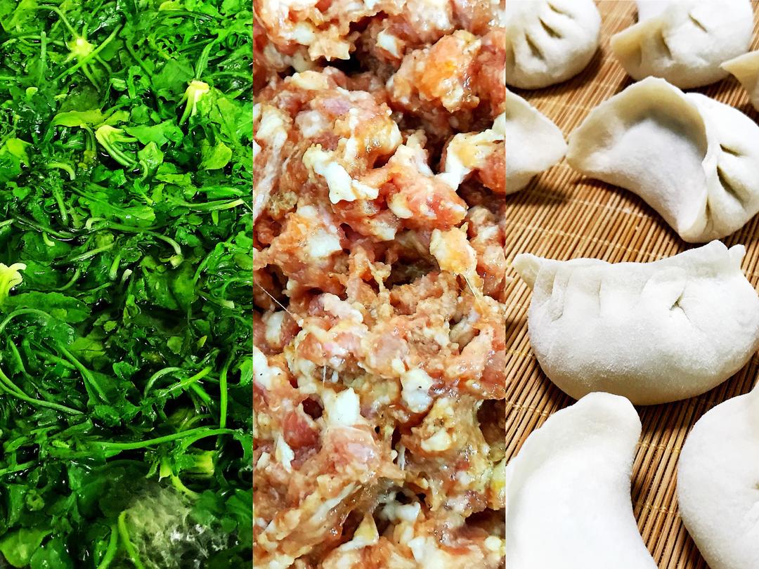 荠菜鲜肉饺子的做法