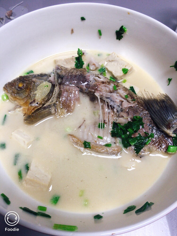 奶白鲫鱼豆腐汤|一条鱼最后的温柔