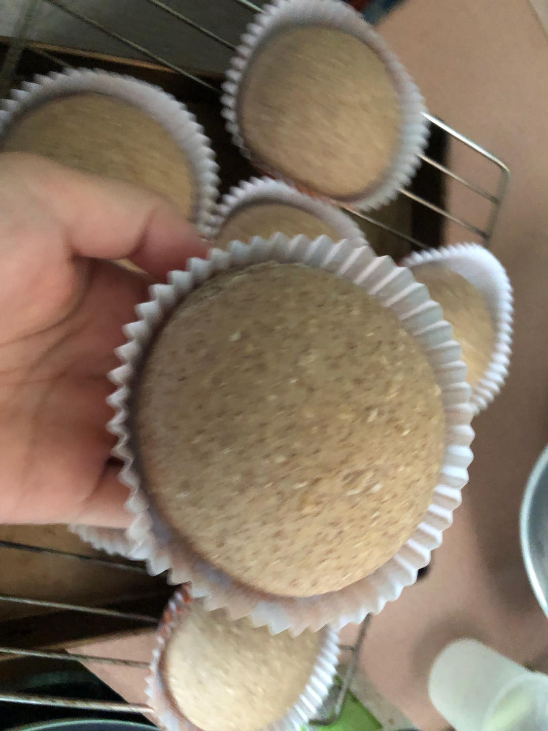 无油低糖全麦帕尼尼面包胚