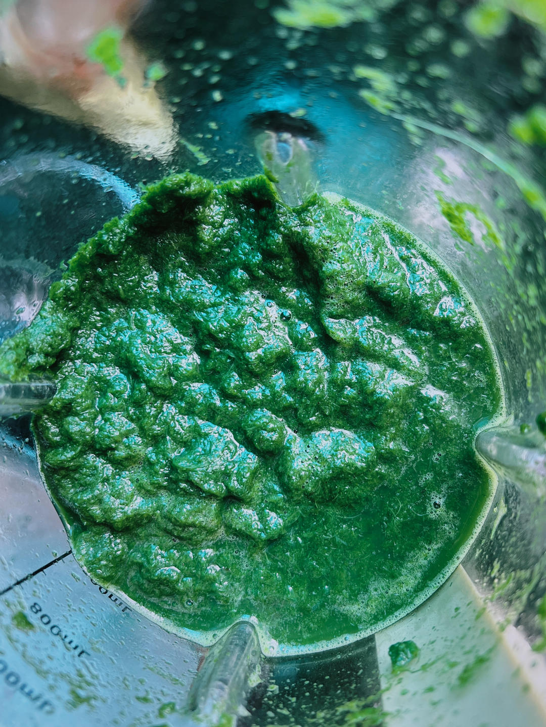 🌿青团（艾草，清明菜）